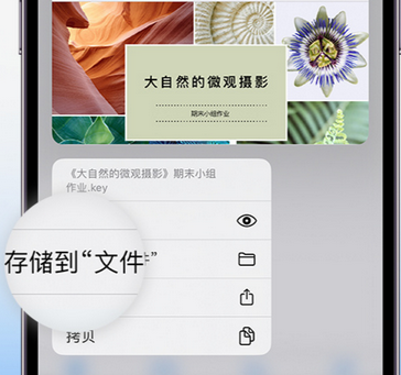 南平apple维修中心分享iPhone文件应用中存储和找到下载文件