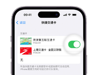 南平apple维修点分享iPhone上更换Apple Pay快捷交通卡手绘卡面 