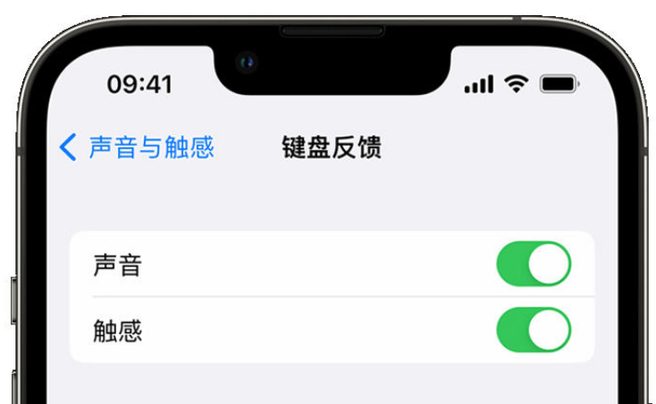 南平苹果手机维修分享iPhone 14触感键盘使用方法 