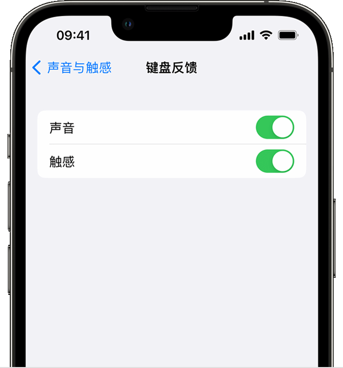 南平苹果14维修店分享如何在 iPhone 14 机型中使用触感键盘 