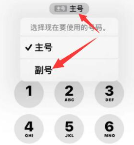 南平苹果14维修店分享iPhone 14 Pro Max使用副卡打电话的方法 