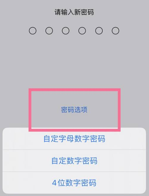 南平苹果14维修分享iPhone 14plus设置密码的方法 