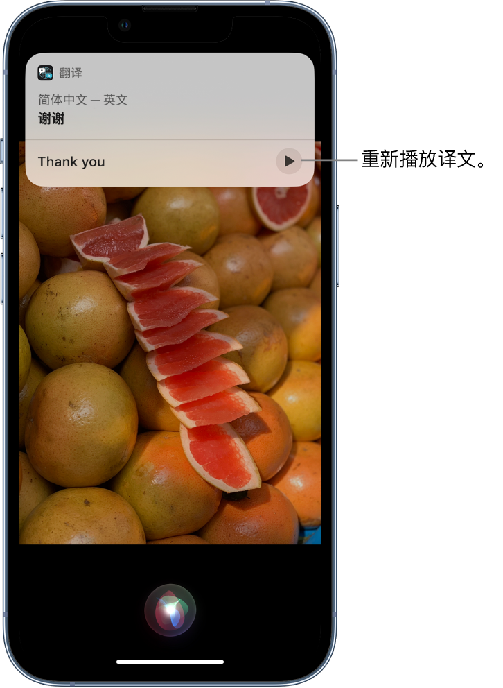 南平苹果14维修分享 iPhone 14 机型中使用 Siri：了解 Siri 能帮你做什么 