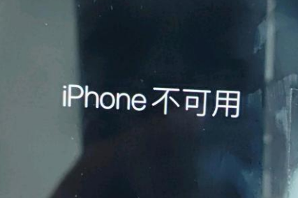 南平苹果服务网点分享锁屏界面显示“iPhone 不可用”如何解决 