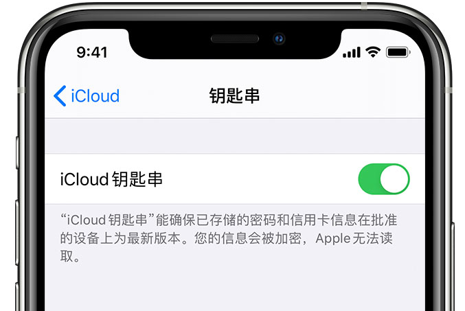 南平苹果手机维修分享在 iPhone 上开启 iCloud 钥匙串之后会储存哪些信息 