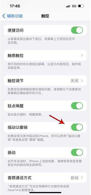 南平苹果手机维修分享iPhone手机如何设置摇一摇删除文字 